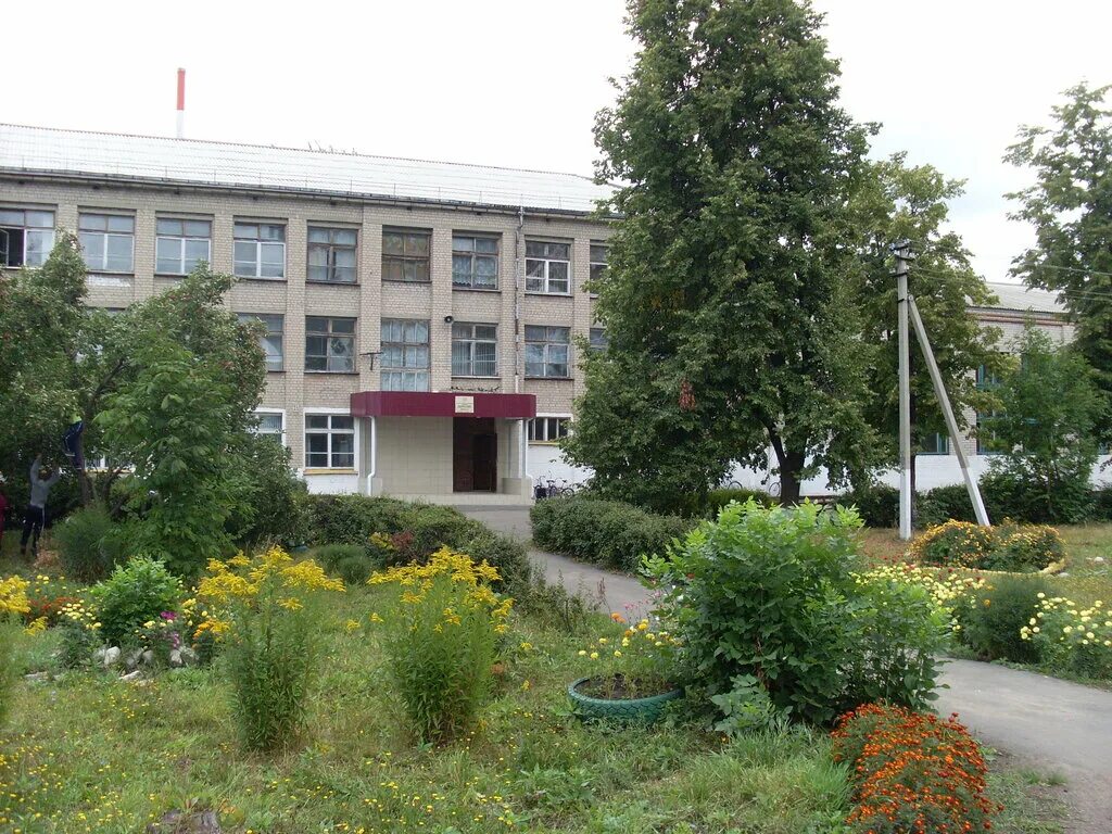 Терновская школа 2 воронежская область. Воронежская область терновский ра. Мкоу терновская сош. Терновская сош воронежская область. Школа 1 терновка воронежская область.
