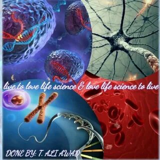 Grade biology
