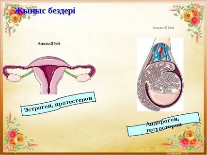 Жапондық жетілген транни порно