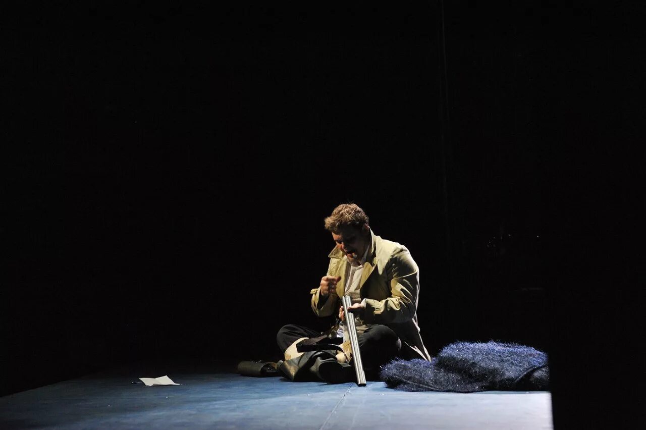 кинозал. итальянский нейрохирург серджио канаверо. поэтический спектакль. спектакль папа маковецкий александрова. сцена театра.