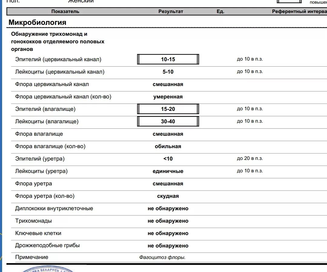 Микрофлора смешанная палочки. Норма лейкоцитов в цервикальном канале. Цервикальный канал норма лейкоцитов в мазке.