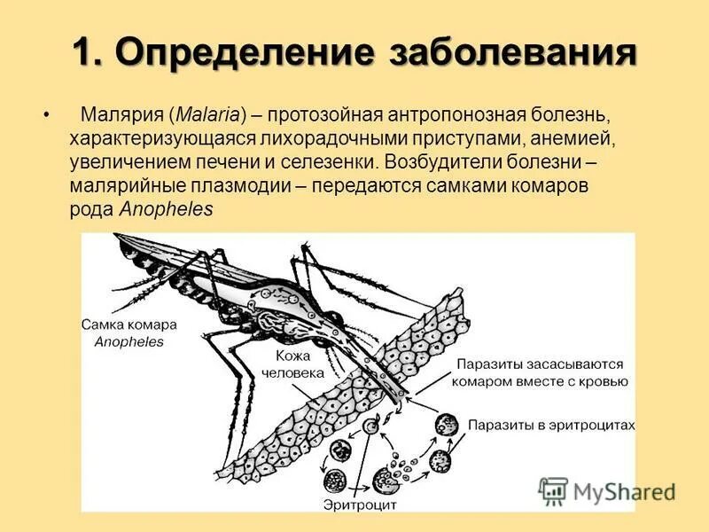 Возбудитель болезни малярии