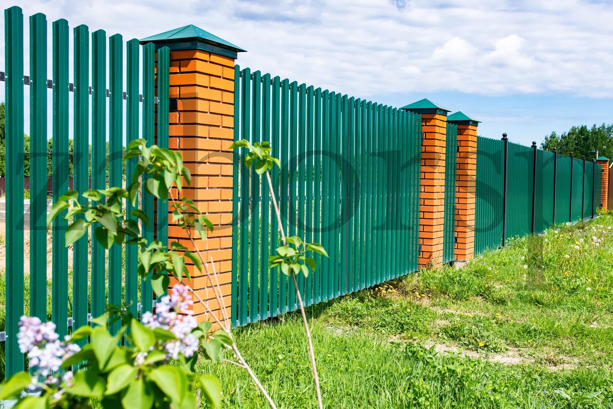 Сделать забор под ключ цена. Заборы для дачи. Забор на дачном участке. Дешевый забор. Зеленый забор на даче.