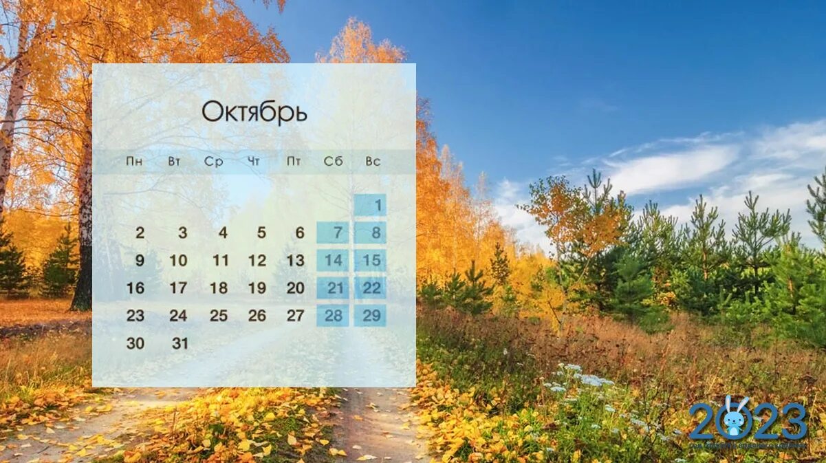 Календарь на ноябрь 2023. Календарь октябрь 2023 года. Производственный календарь на октябрь 2023 года. Календарь сентябрь октябрь 2023. Календарь на 2023 год с природой.