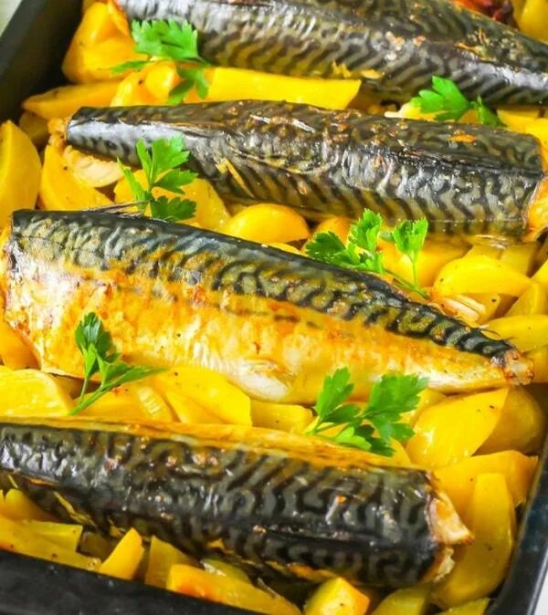 Как вкусно приготовить скумбрию свежемороженую