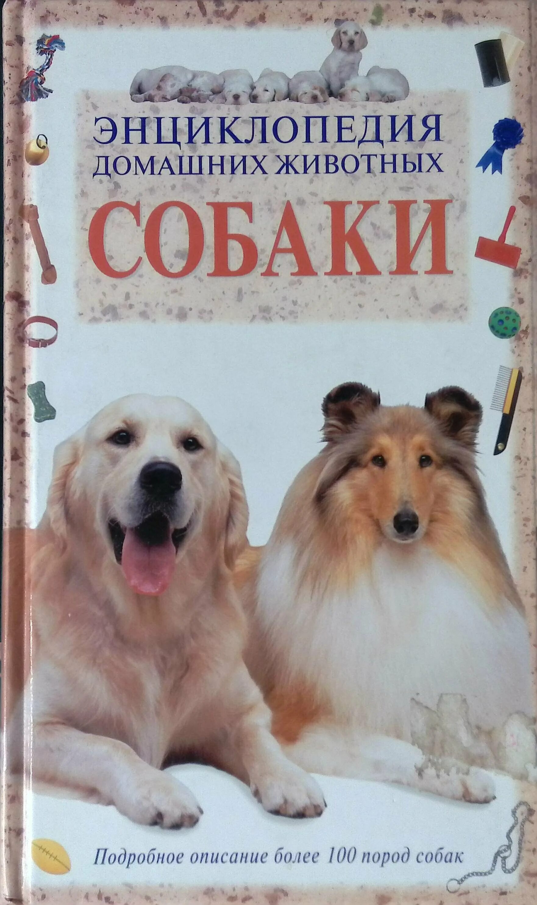 Три минуты ради собаки книга