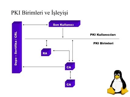 Pki что это