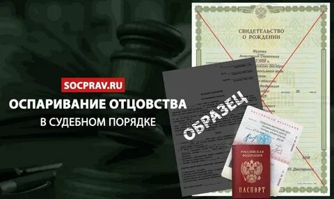 Судебная практика отцовстве