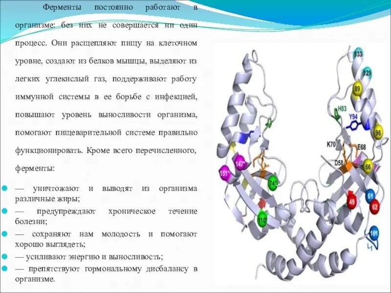 Ферменты презентация по химии. Ферменты химия 10 класс презентация. Презентация по химии на тему ферменты. Ферменты всегда являются сложными белками.