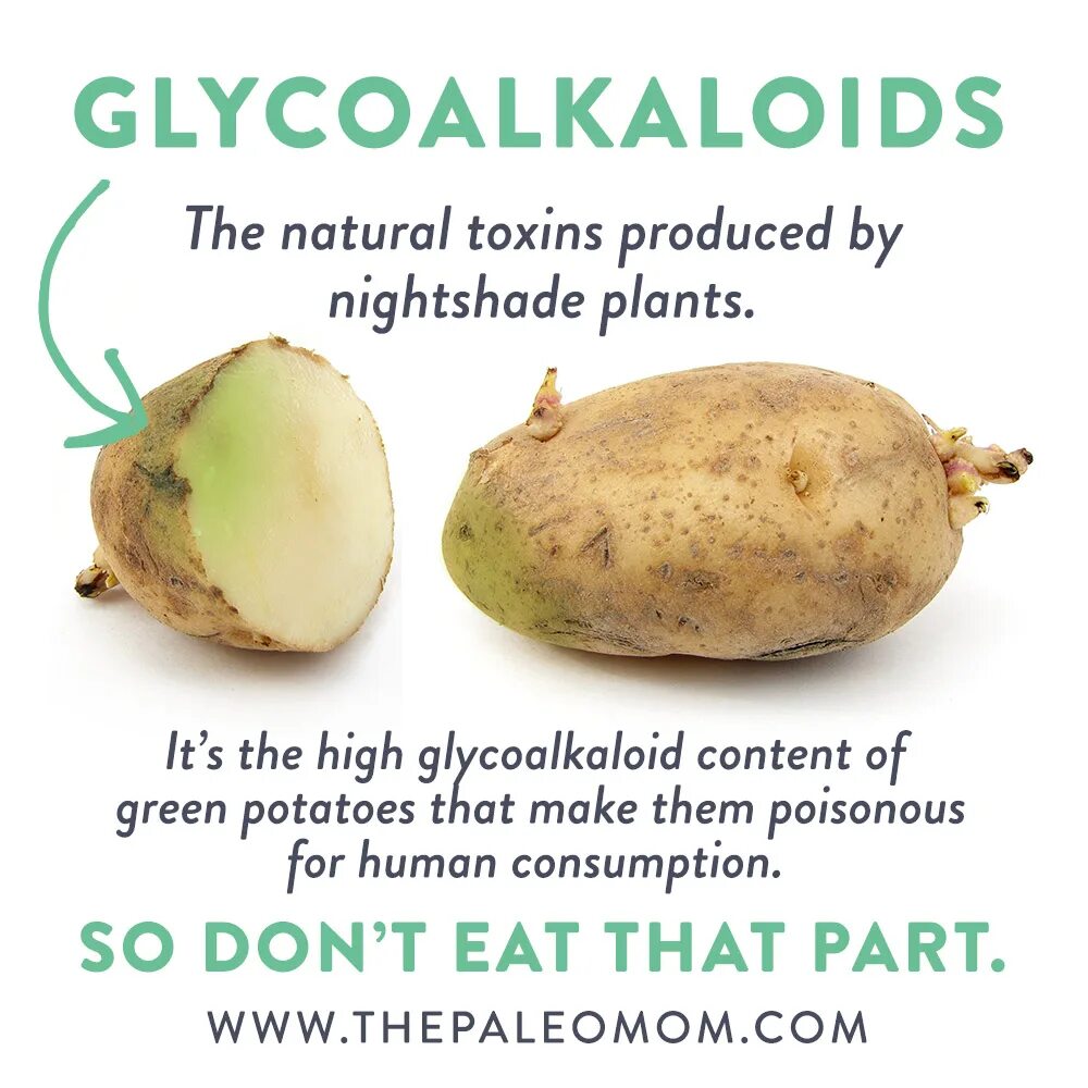 Poisonous potato update. Green Potatoes. Poisonous Potato. Can Potatoes be Green. I like to eat Potatoes.