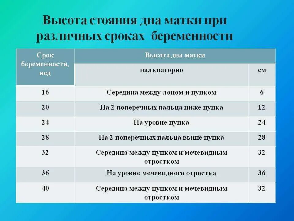 Дно матки после родов. Высота стояния дна матки в различные сроки беременности. Уровень стояния дна матки по неделям. Высота стоягия дев матуи. Влсота стояния дна Мак и.