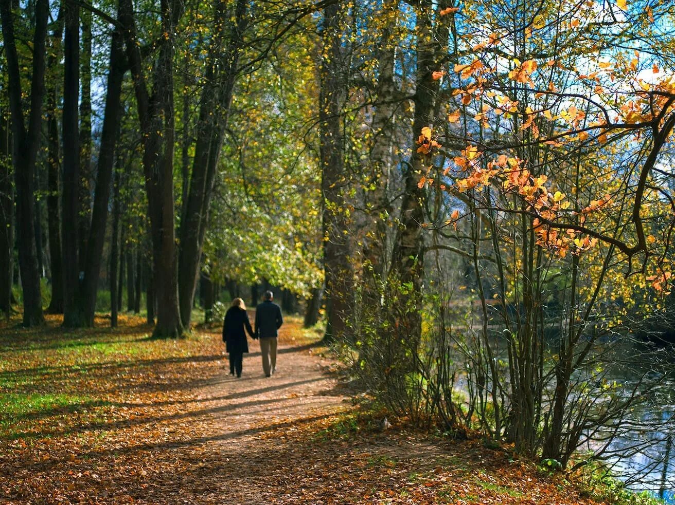 Погулять по лесу. Прогулка по парку. Прогулка в парке. Осенний парк. Осень в парке.