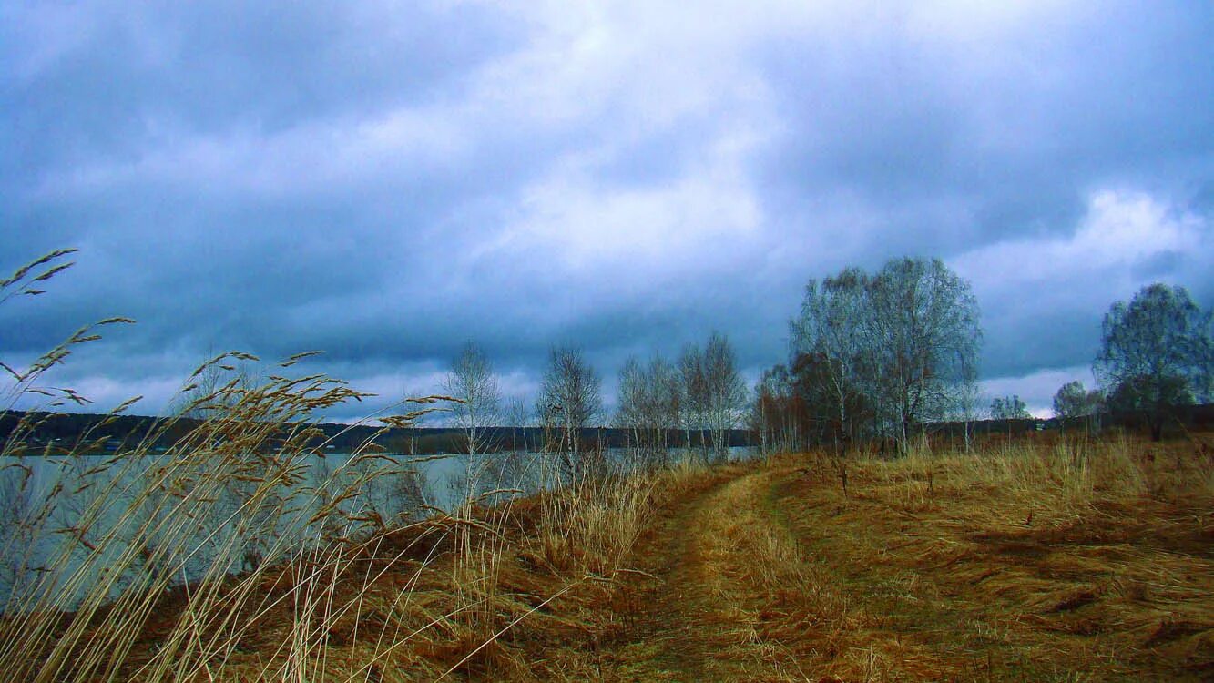 Пасмурная осень. Поле пасмурно. Пасмурный день. Пасмурно в деревне. Пасмурная 21