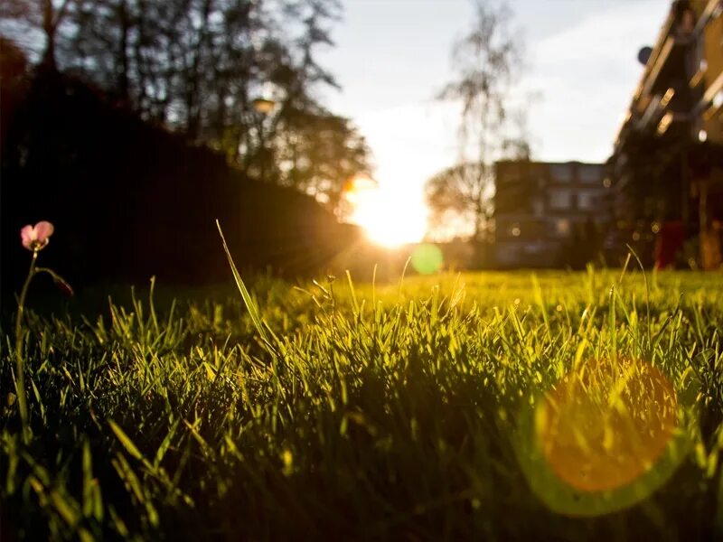 солнце мое ноты. песня солнышко мое капуро. песня солнышко мое капуро. Marie douceur marie colère фильм. песня в горнице моей светло слушать марина капуро слушать бесплатно.