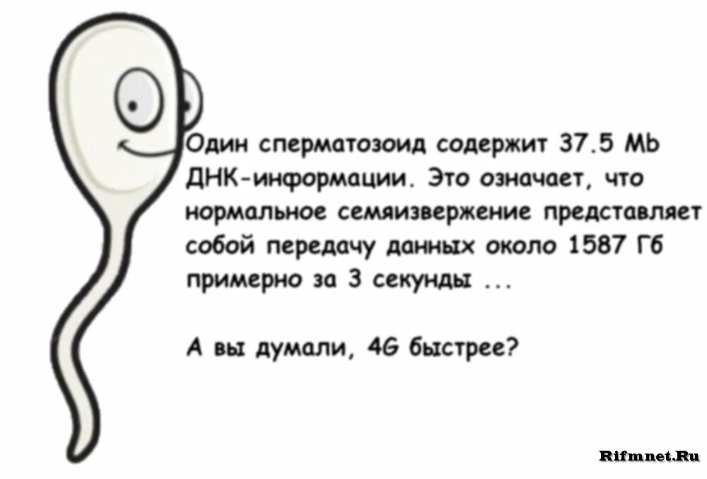 Что значит быть быстрым