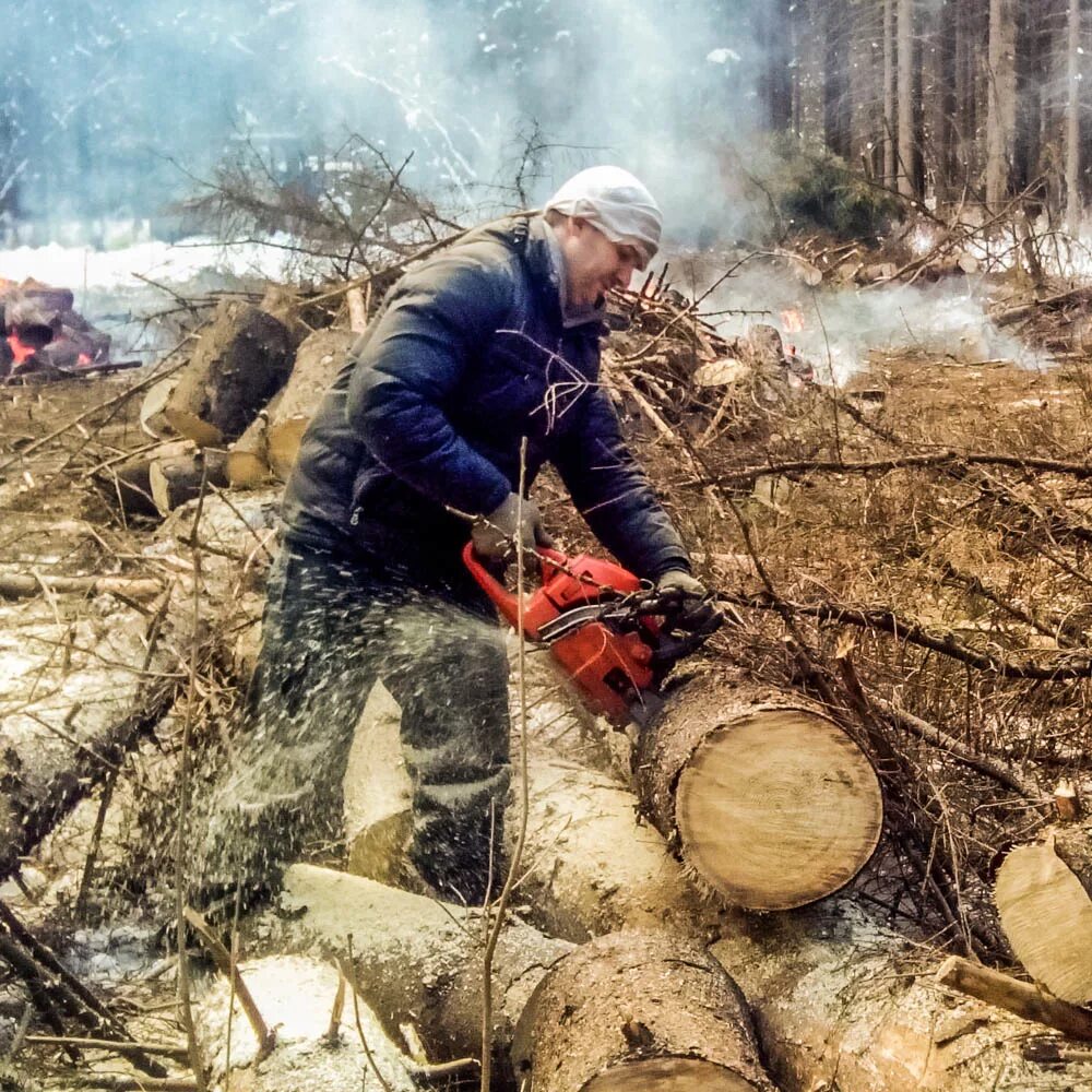 Очистка участка от деревьев. Расчистка участка. Расчистка участка от деревьев. Очистка участка от деревьев и кустарников. Спил дерева.