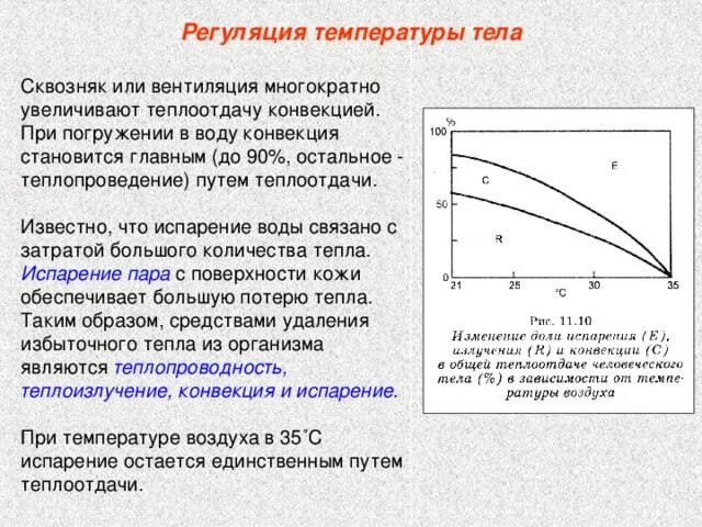 Увеличению теплоотдачи через кожу способствует