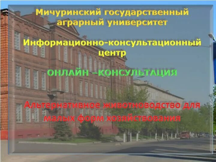 Мичуринский аграрный университет специальности. Мичуринский аграрный университет. мичуринский гау административный корпус.
