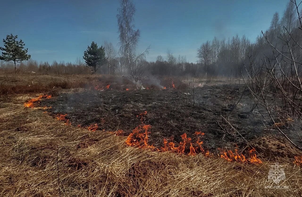 Пал сухой травы МЧС. Природные пожары. Пожар весной. Весенние пожары.