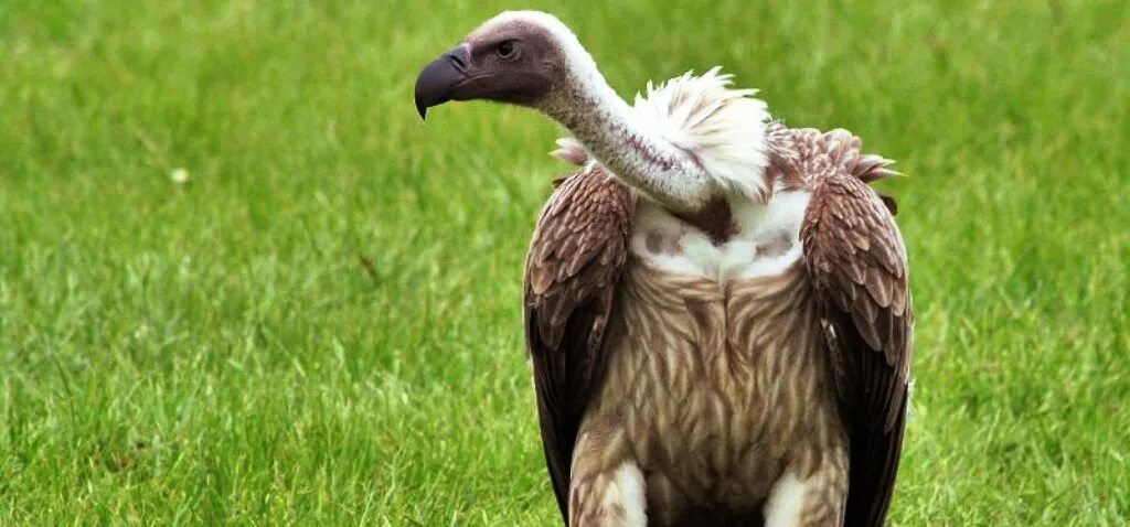 Надпись совершенно секретно. Под грифом совершенно. Под грифом. Под грифом совершенно секретно. Любовь под грифом совершенно секретно нилов.