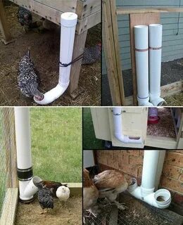 Трубы кур