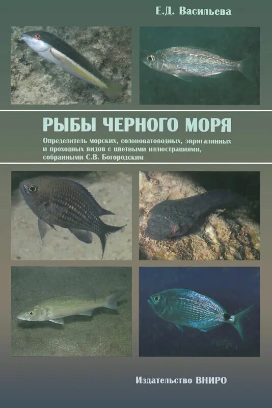 Виды рыб