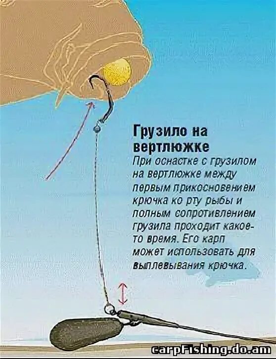 Расстояние грузила крючка. Расстояние грузила крючка. Размещение грузил на леске. Как правильно разместить грузило на поплавочной удочке. Расположение крючка грузила и поплавка.