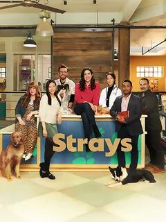 Strays follows Shannon Ross (of Kim’s Convenience) as the new Executive Dir...