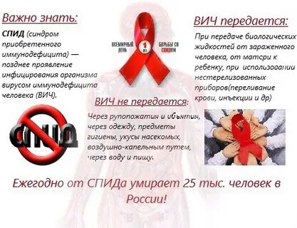 Школа вич