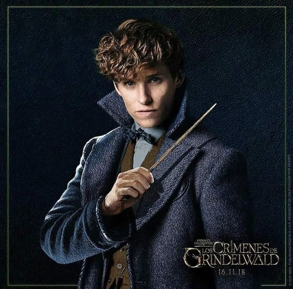 Ньют саламандер. Ньют скамандер зверь. Ньют саламандер в гарри поттере. Ньют саламандер. Ньют саламандер персонажи историй.