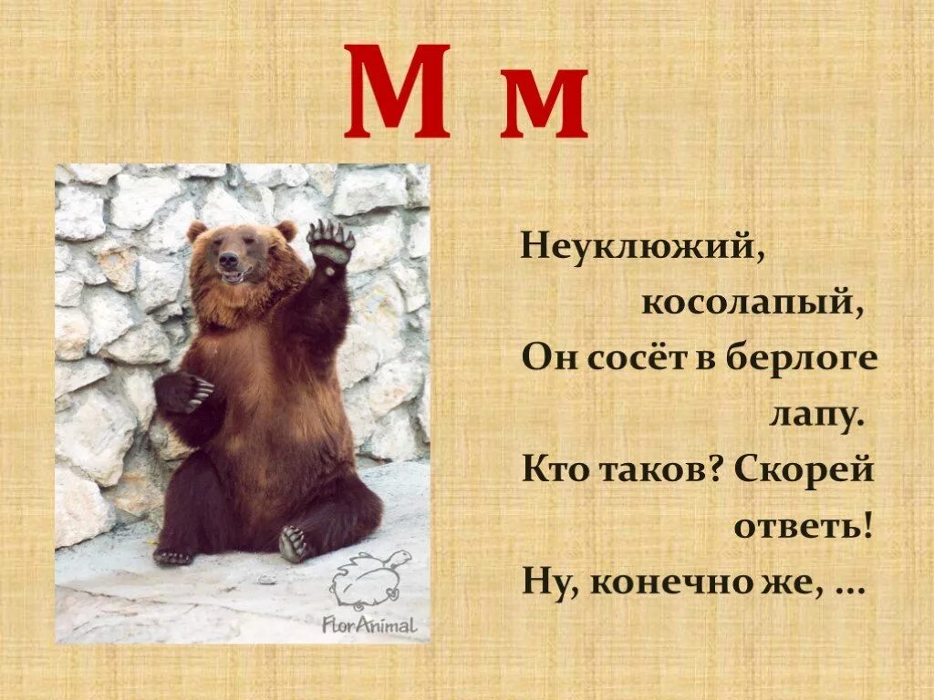 О неуклюжем косолапом. Неуклюжий медведь идет. Медведь м' звук. Загадка неуклюжий косолапый. Медведь в берлоге лапу