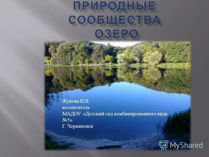 сообщество пруда. природное сообщество озеро 5. сообщение на тему природное сообщество озеро. природные сообщества озёр и прудов. сообщество озеро окружающий мир.