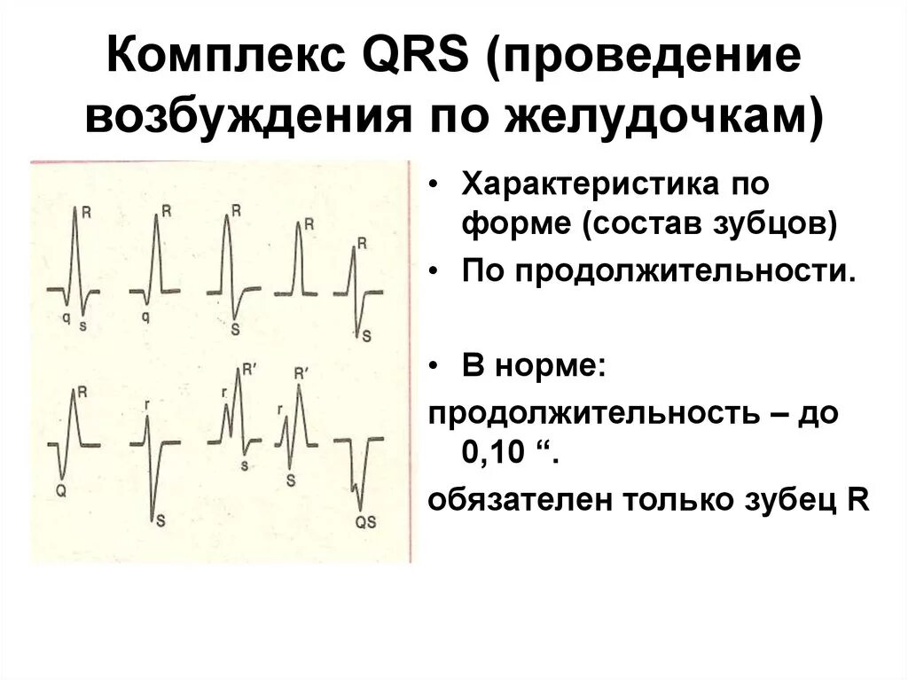 Длительность комплекса QRS В норме. Продолжительность комплекса QRS на ЭКГ В норме составляет. Комплекс QRS на ЭКГ отражает. Комплекс зубцов QRS характеризует. Зубцы экг в норме