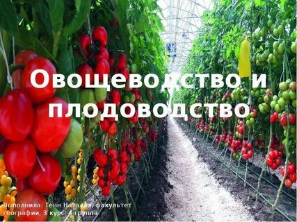 Чем занимается плодоводство