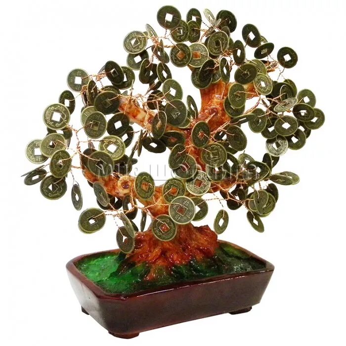 денежное дерево 16см v017. денежное дерево ростов. композиции с денежным деревом. крассула толстянка размножение. денежное дерево.