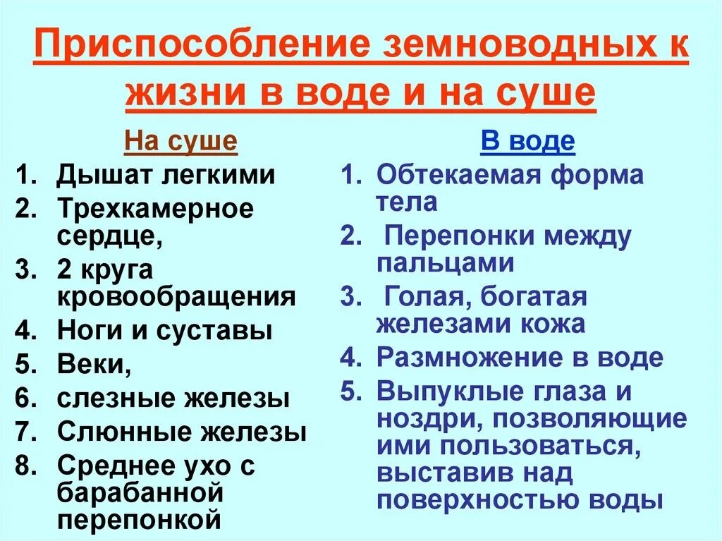 Приспособление земноводных к жизни в воде. Приспособления земноводных к жизни на суше. Приспособление земноводных к жизни в воде и на суше. Приспособления амфибий к жизни в воде и на суше. Назовите черты сходства строения земноводных и рыб