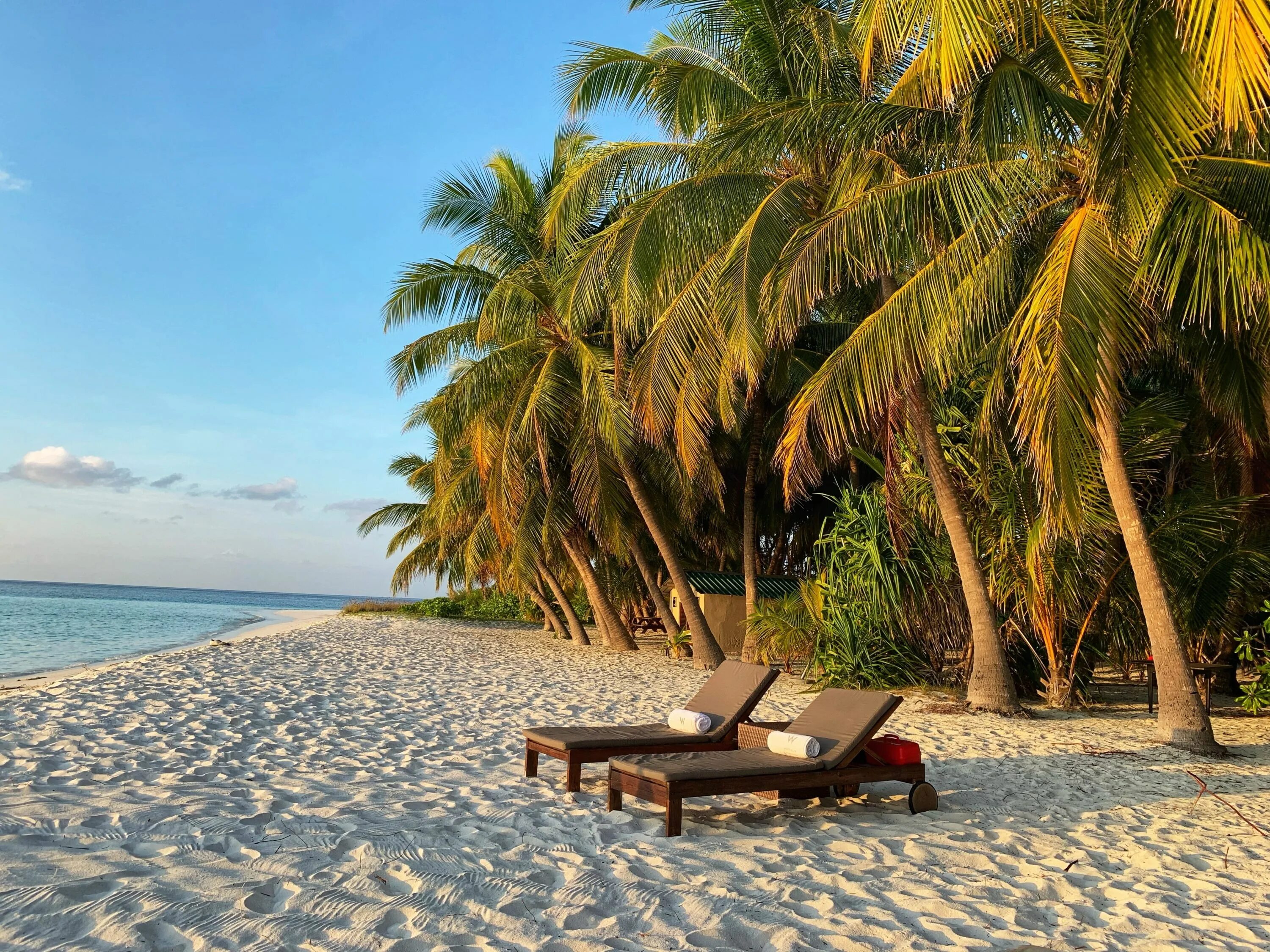 Где провести отпуск недорого. Мальдивы. Море курорт. Дорогой остров. Мальдивы фото.