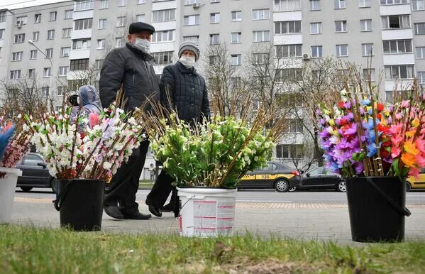 Вербное в 2024 г. Вербное 2024. Вербное воскресенье 2024. Вербное воскресенье в 2024 году. Вербное воскресенье в 2024 году какого числа.