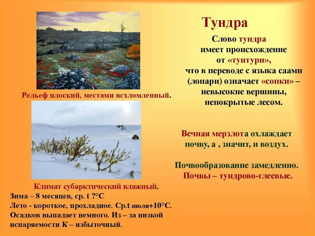 Слово тундра. Климат тундры. Климат тундры летом. Климат тундры в России. Тундра песня слова