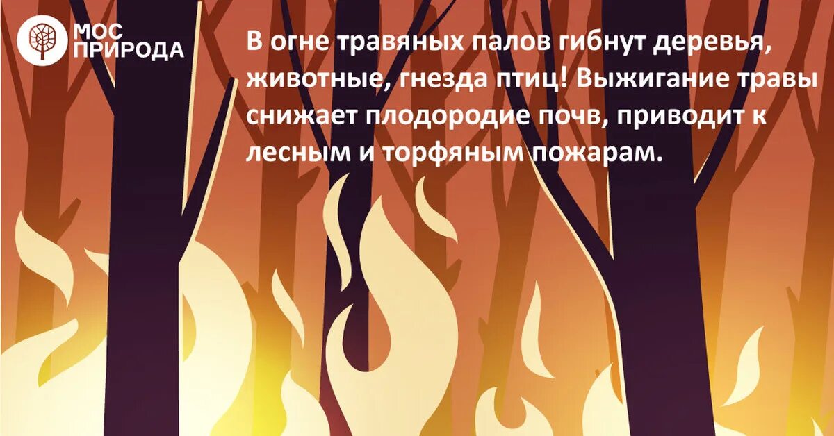 Нет весенним палам плакат. Нет весенним палам листовки. Буклет нет весенним палам. Весенние палы листовки.