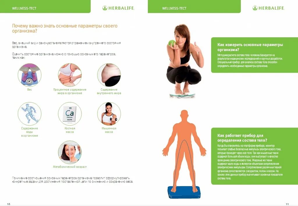 Типы состава тела. Фитнес тестирование состав тела. Анализ состава тела медасс. Биоимпедансометрия на аппарате медасс. Состав тела.