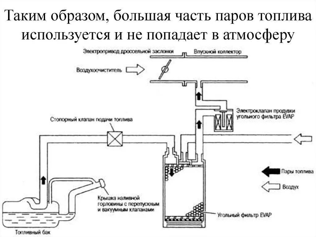 Абсорбер топливных паров. Система улавливания паров бензина схема 1. Адсорбер в автомобиле схема подключения. Клапан продувки топливных паров. Абсорбер топливных паров на схеме.