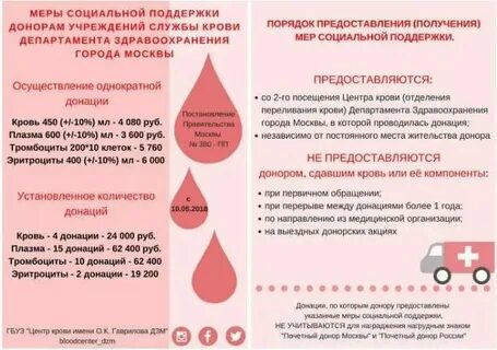 Сколько платят за донорство яйцеклетки