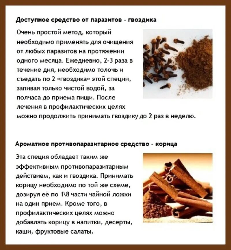 Гвоздика от паразитов отзывы. Гвоздика от паразитов. гвоздика от глистов. чистка организма от паразитов гвоздикой.