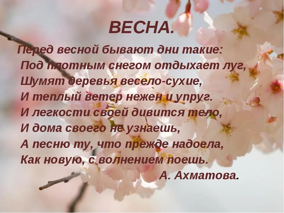 Ахматова стихи о весне. Весенние стихи. Стих про весну.