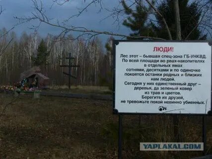 Говнище кладбище