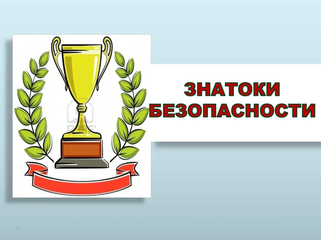 Эмблема по безопасности для детей. Медаль знаток безопасности для детей. «знаток безопасного поведения» медали для дошкольников. Эмблема по безопасности. Медали для детей знаток обж.