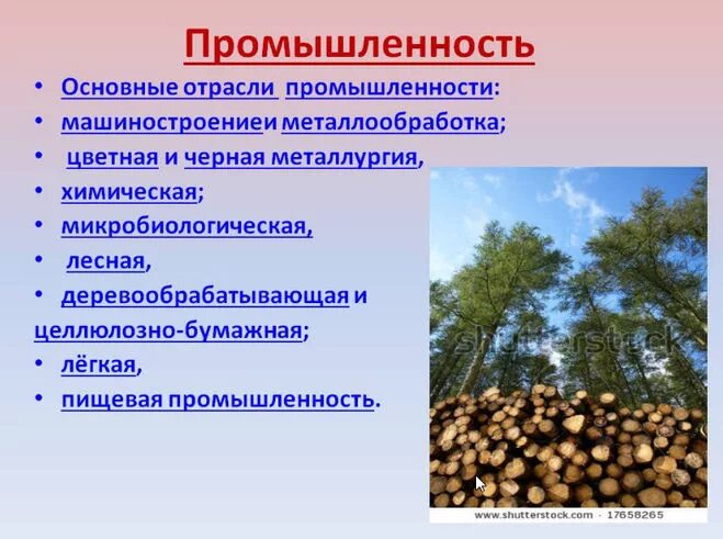 Промышленности нашего края