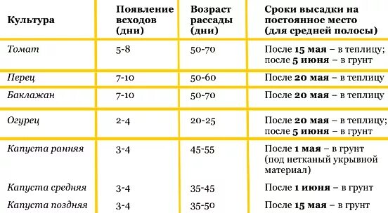 Посадка перца в марте 2024 г