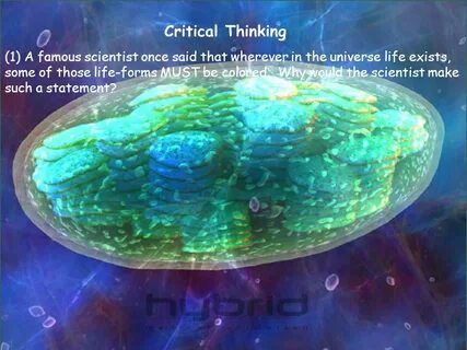Science made